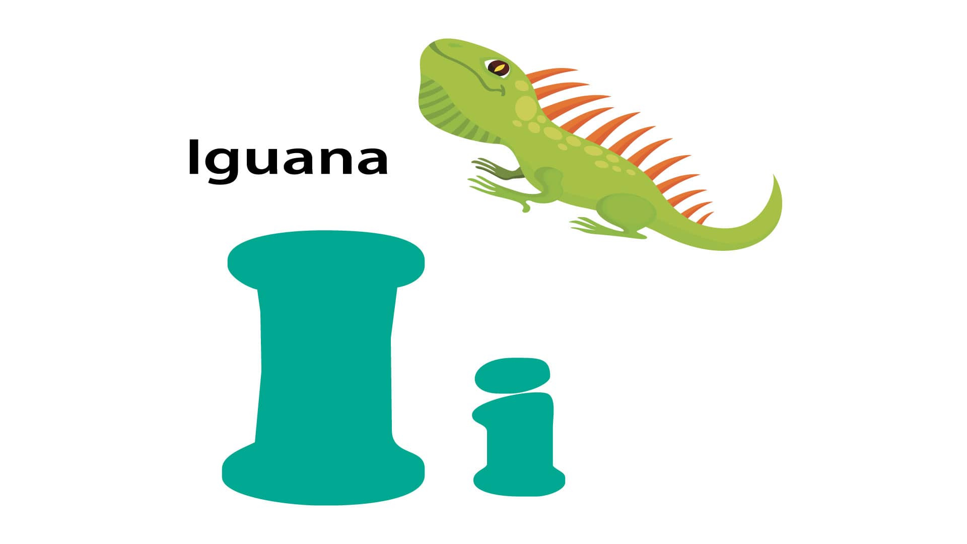 Spanish Alphabet Book