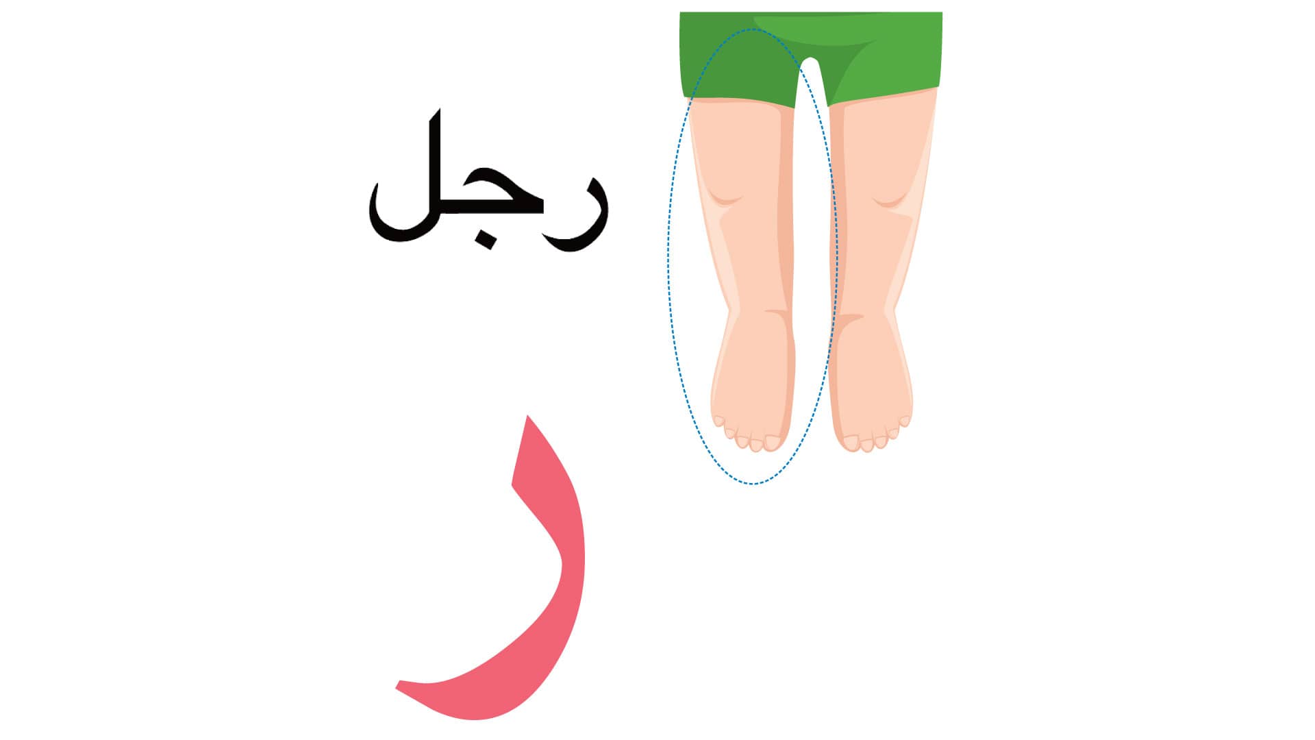 Arabic Alphabet Book