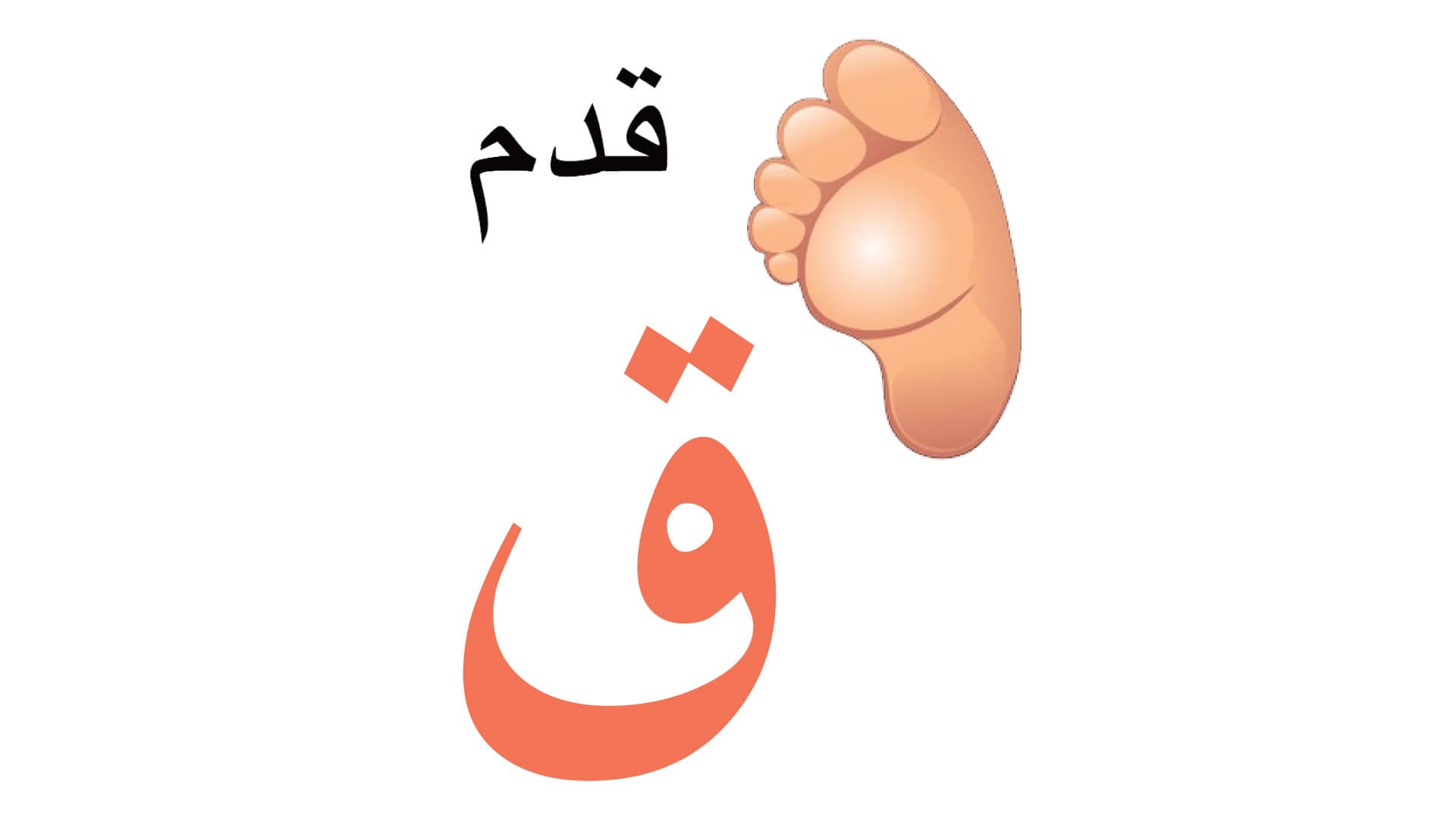 Arabic Alphabet Book