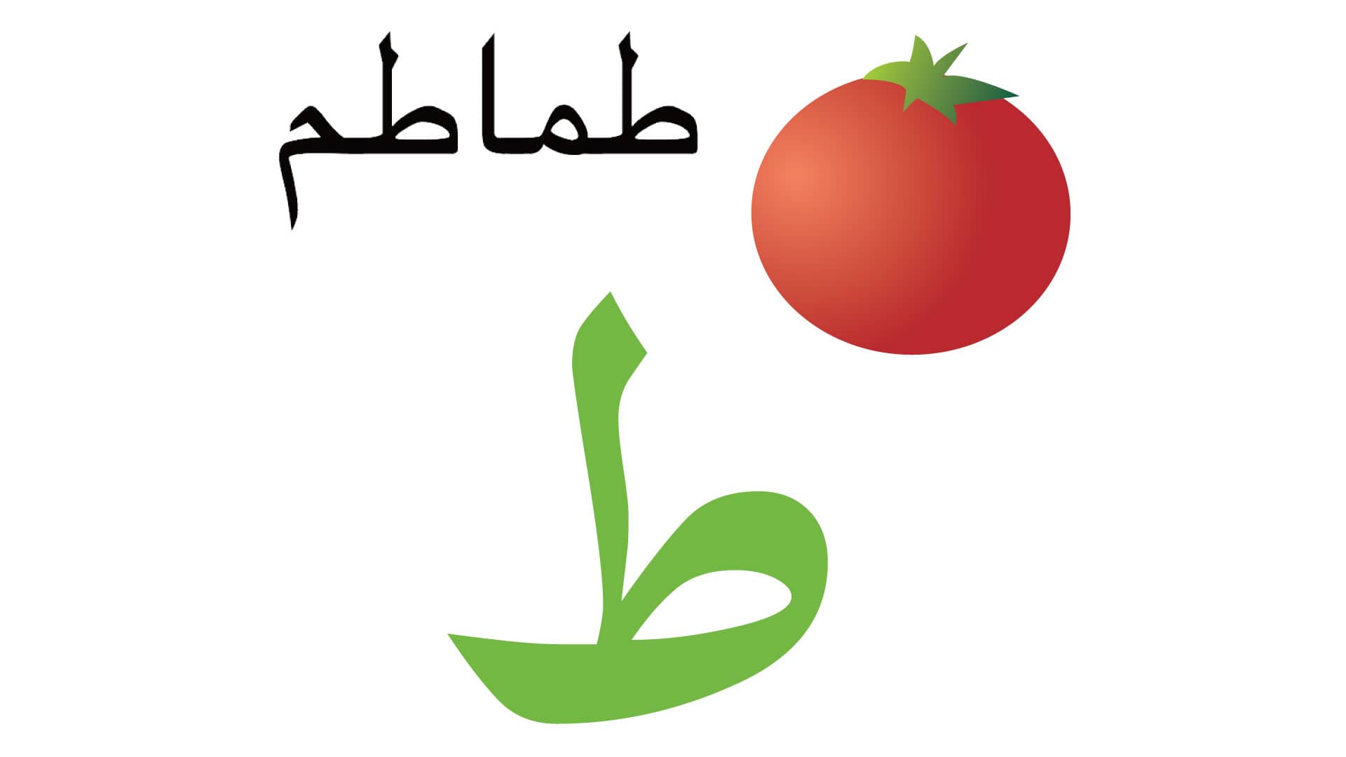 Arabic Alphabet Book