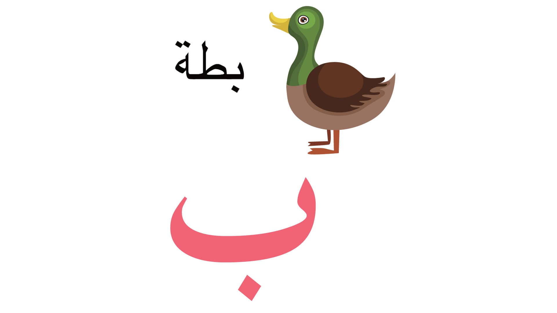 Arabic Alphabet Book