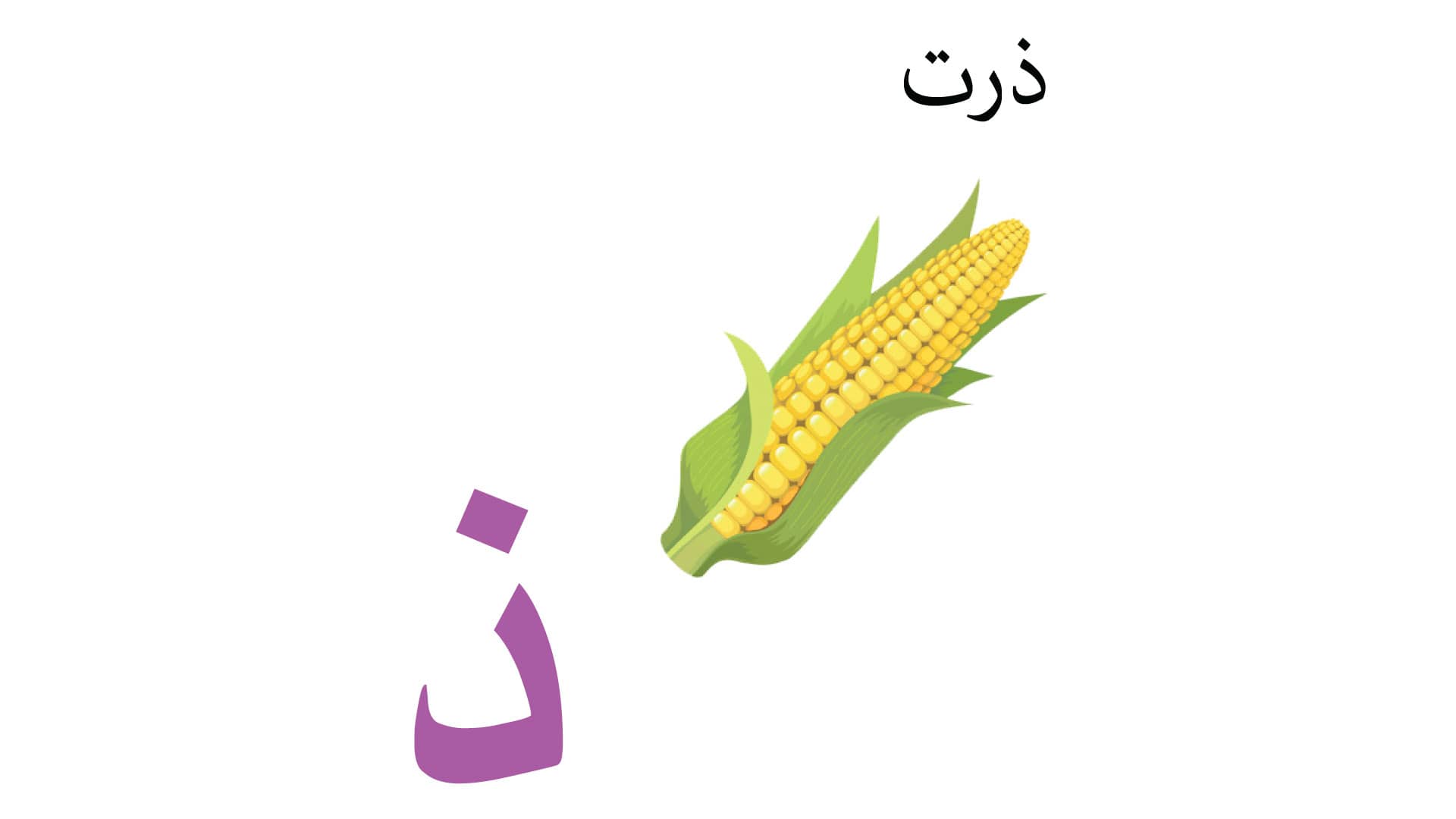 Persian Alphabet Book