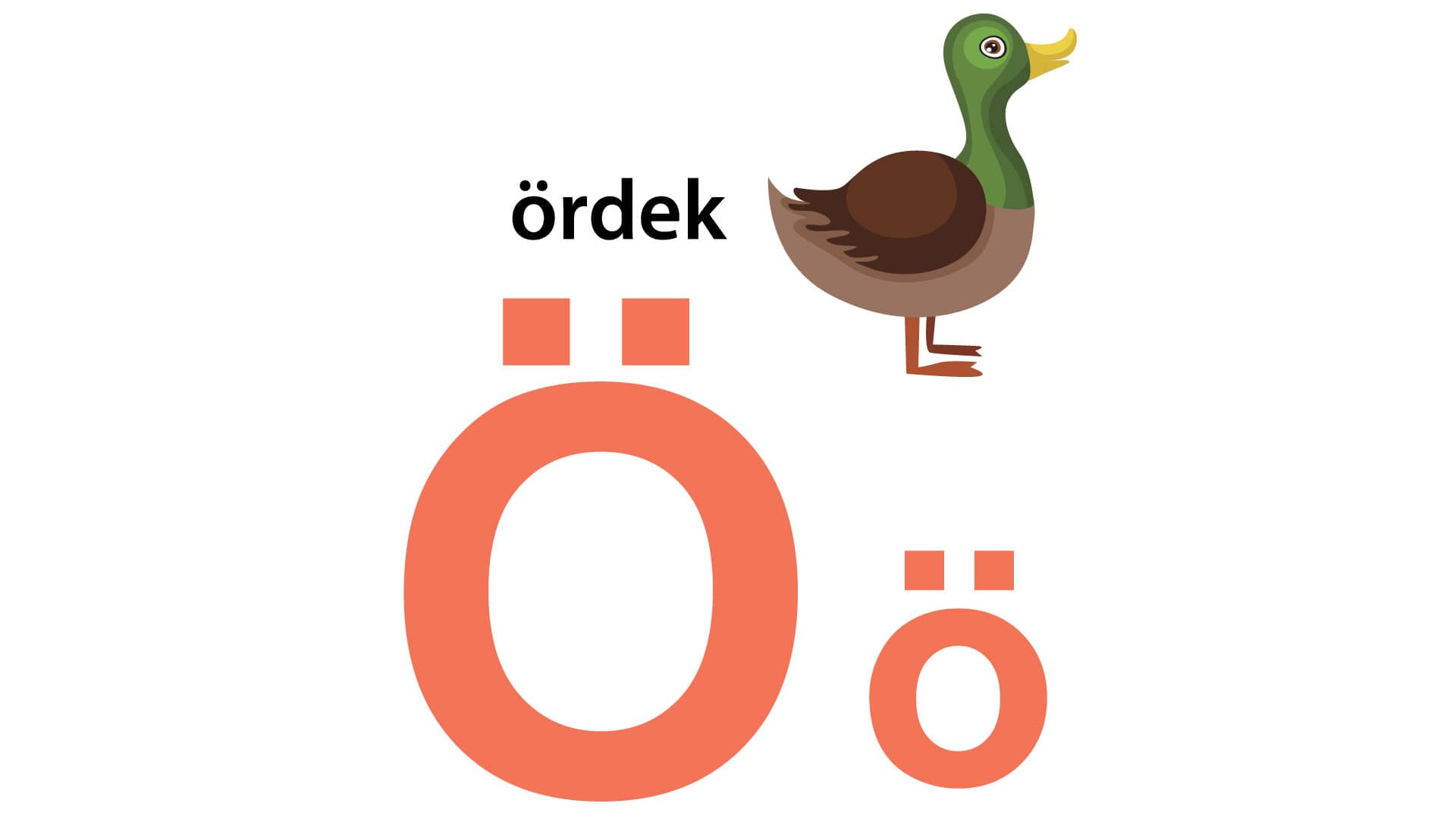 Turkish Alphabet Book