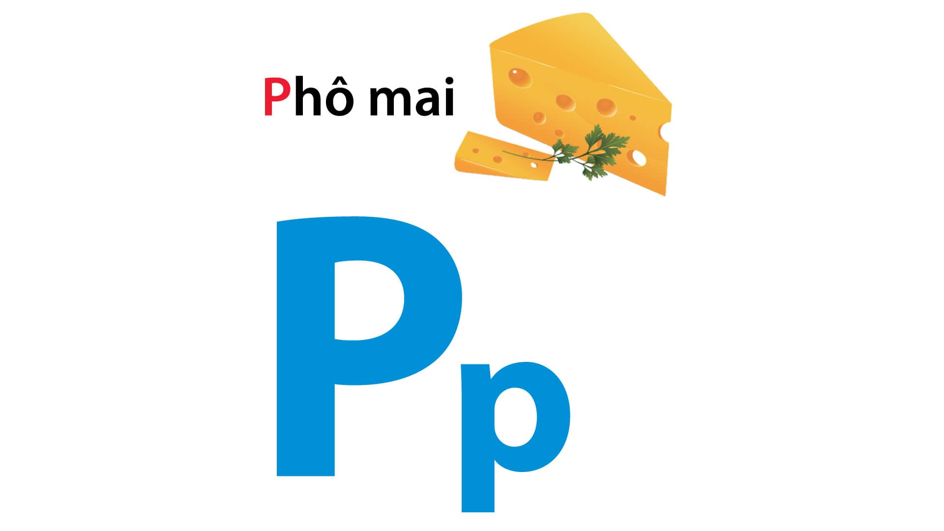 Vietnamese Alphabet Book