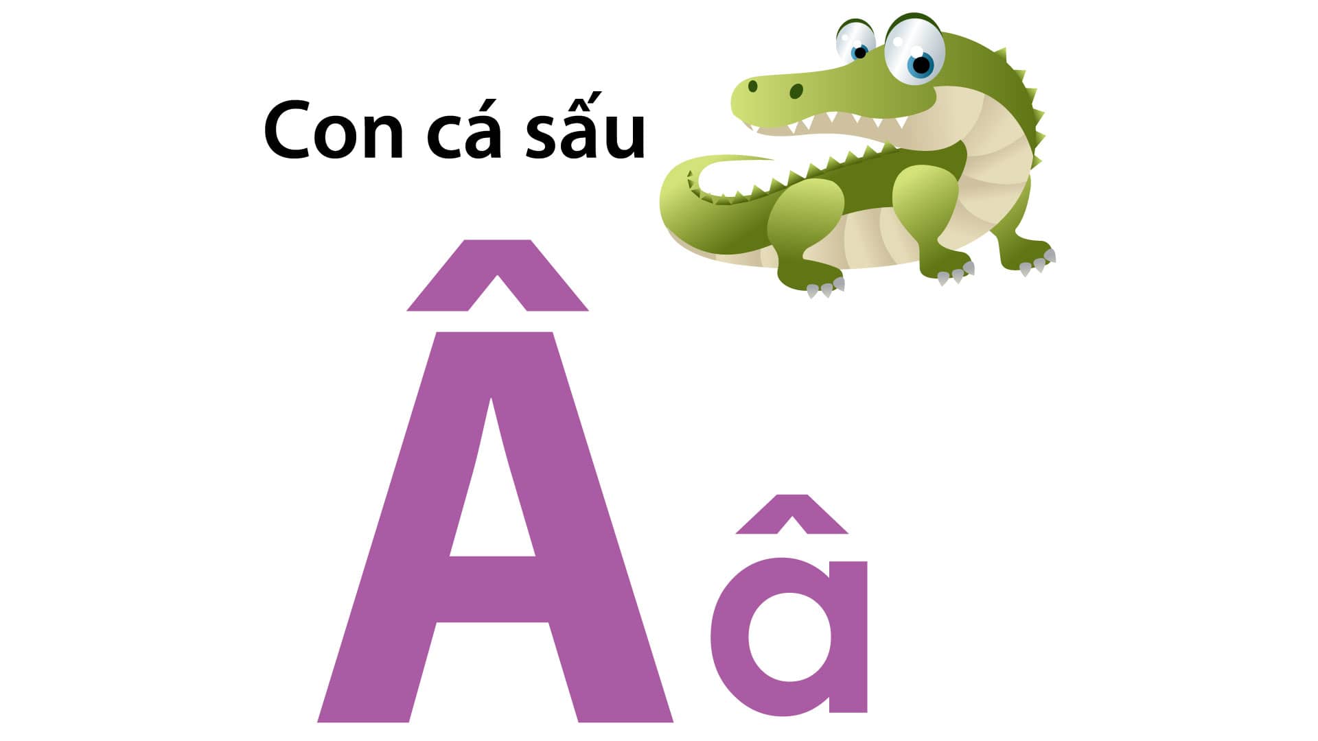 Vietnamese Alphabet Book