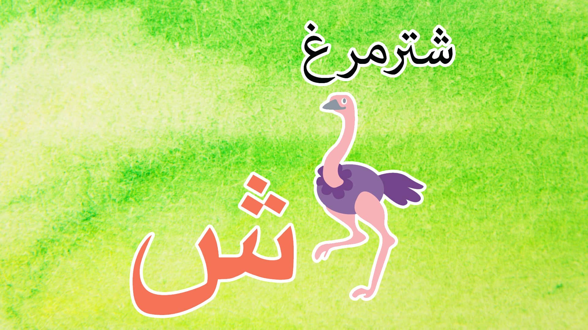 Persian Alphabet Book