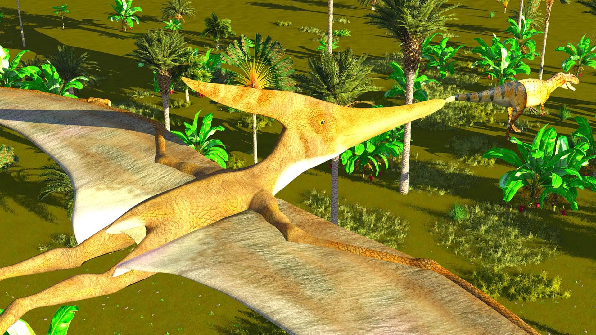 PTERODAKTYLE