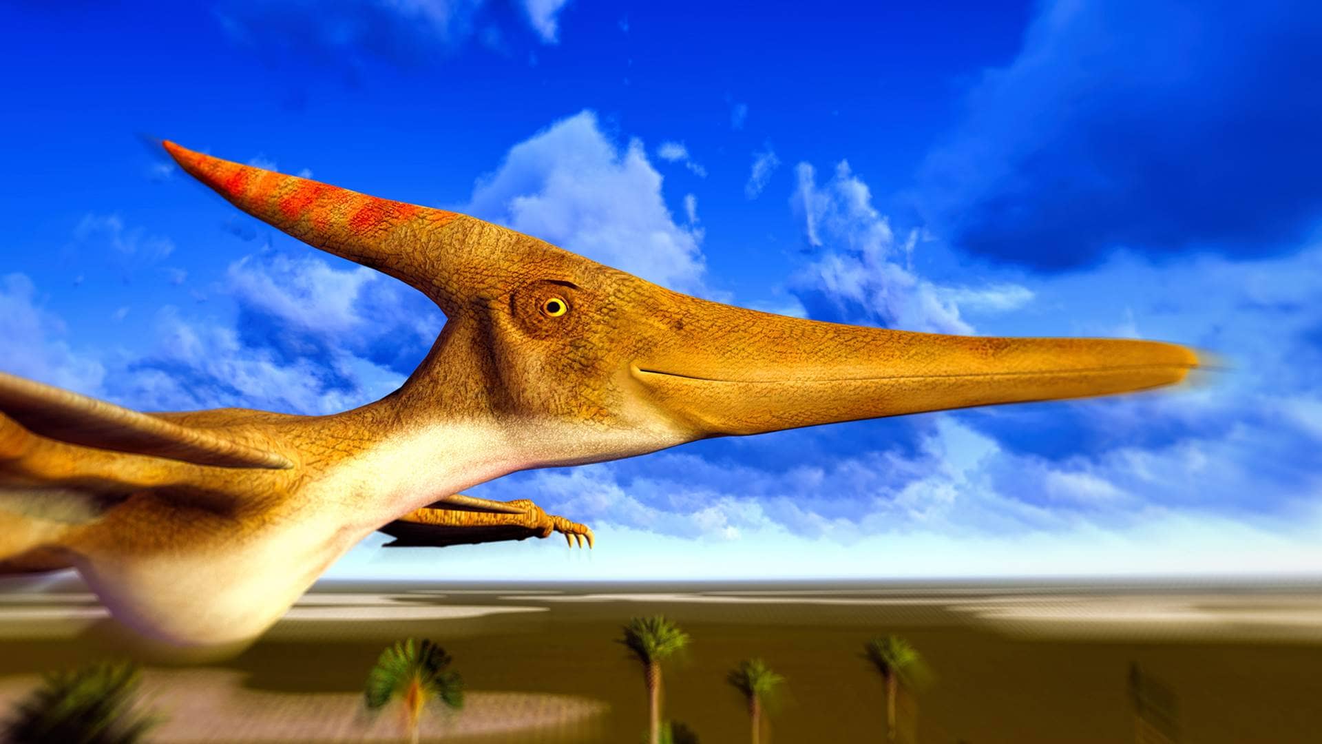 PTERODAKTYLE