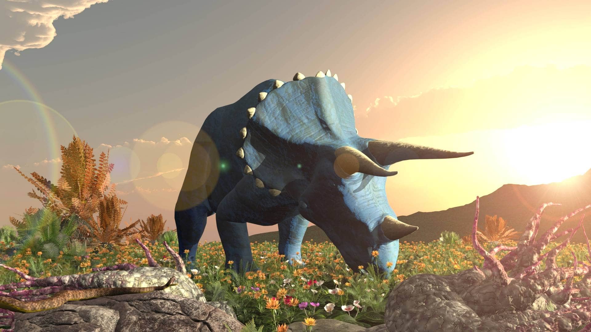 TRICERATOPS