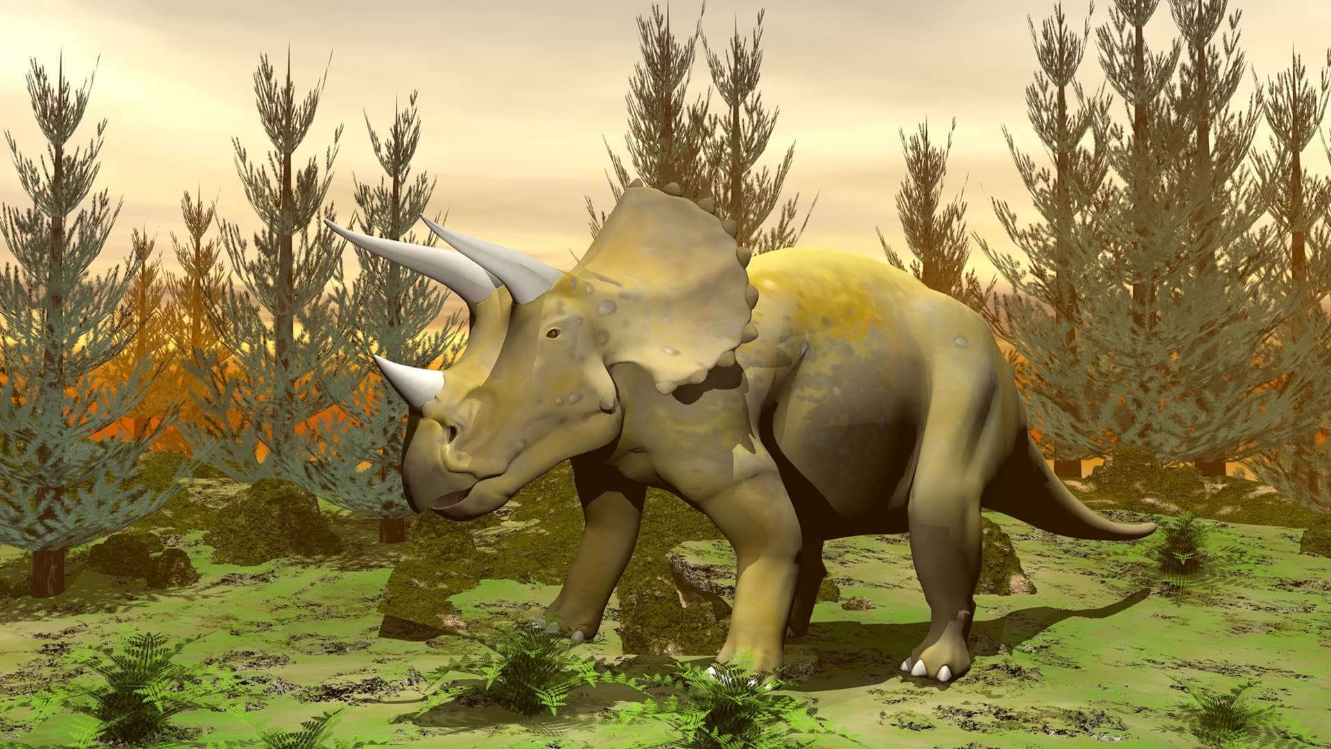 TRICERATOPS