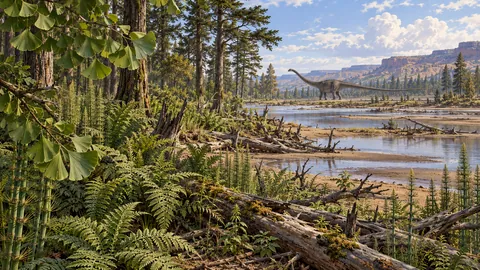 Illustrated Jurassic riverbank with conifers, ginkgo leaves, ferns, and a distant Diplodocus