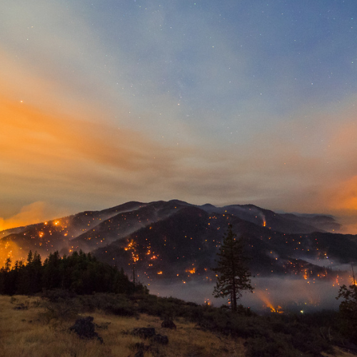ELEMENTAL, reimagining our relationship with wildfire