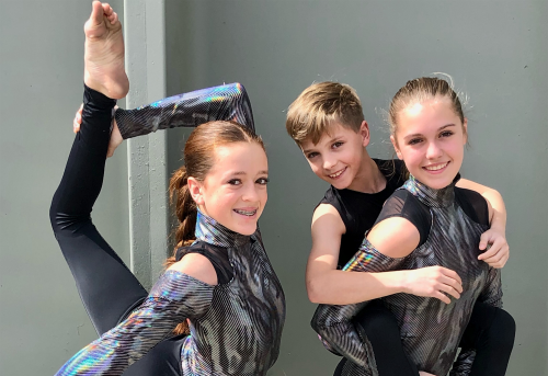 Asana Aerial Arts Youth Company