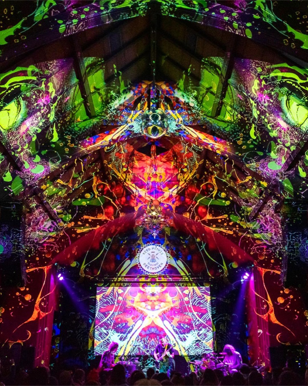 TheMadAlchemist Liquid Light Show
