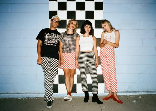 The Paranoyds