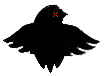 https://storage.googleapis.com/dirty-public/logo_main_retina_black.png