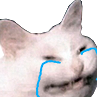 CattoCry.png