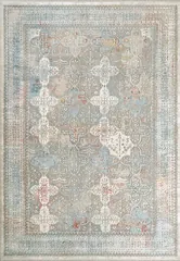 Ruby Transitional Multi Distressed Medium Pile Rug