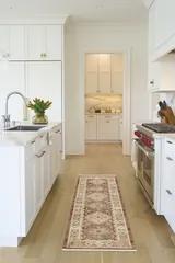Pardis Persian Rust Machine Woven Rug