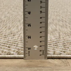 Echo Solid Beige/ Beige Stripe Cut Pile Rug