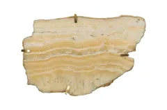Gem Wall Tile in Brass Setting, Sand Onyx