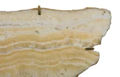 Gem Wall Tile in Brass Setting, Sand Onyx
