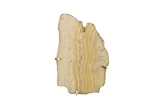 Gem Wall Tile in Brass Setting, Sand Onyx