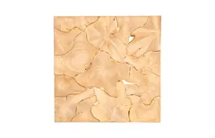 Teak Slice Coffee Table, Square, Bleached