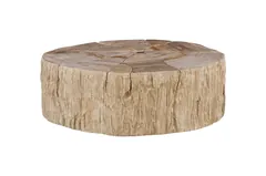 Converge Petrified Coffee Table, Rough, Cream