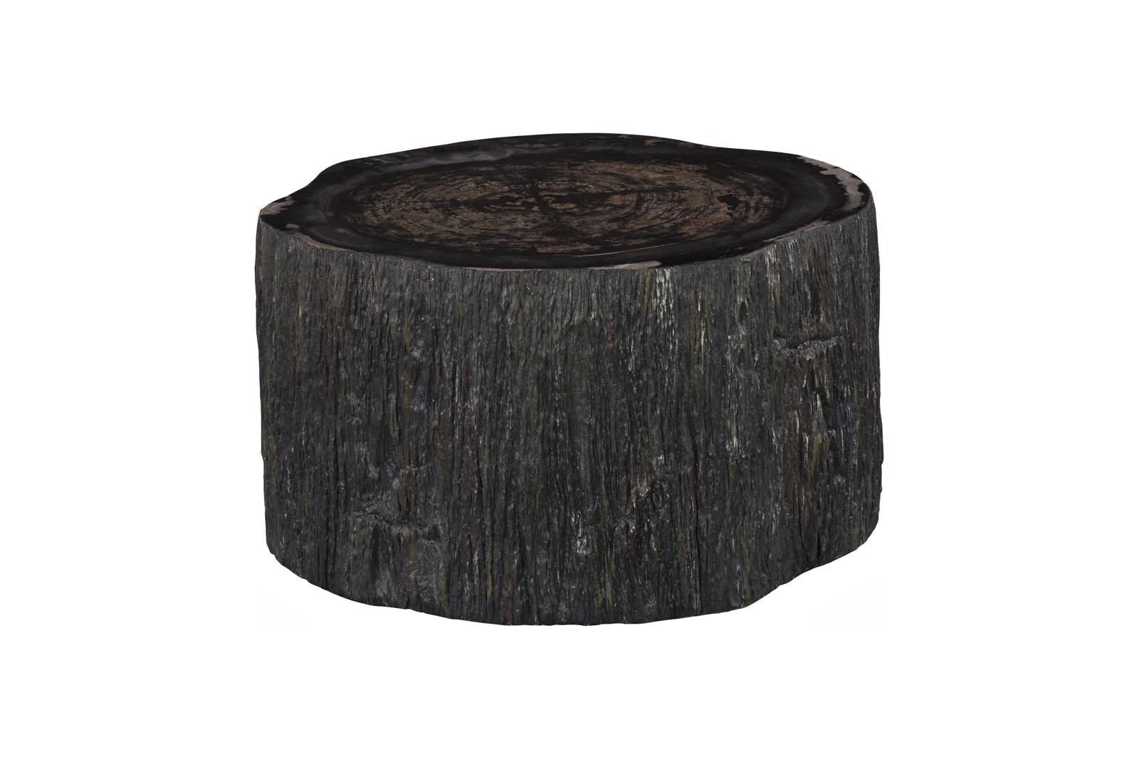 Chaka Petrified Coffee Table, Rough, Black, Small