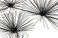 Sea Root Wall Art