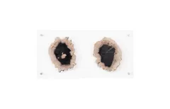 Floating Petrified Double Slice Wall Art