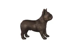 French Bulldog, Bronze