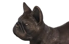 French Bulldog, Bronze