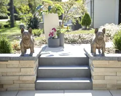French Bulldog, Bronze