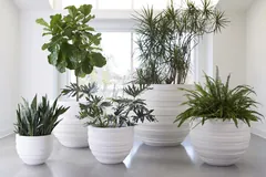 June Planter, White, SM