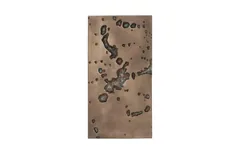 Splotch Wall Art, Rectangle, Bronze Finish
