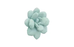 Laui Succulent Wall Art, Sage