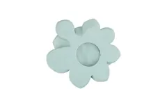 Laui Succulent Wall Art, Sage