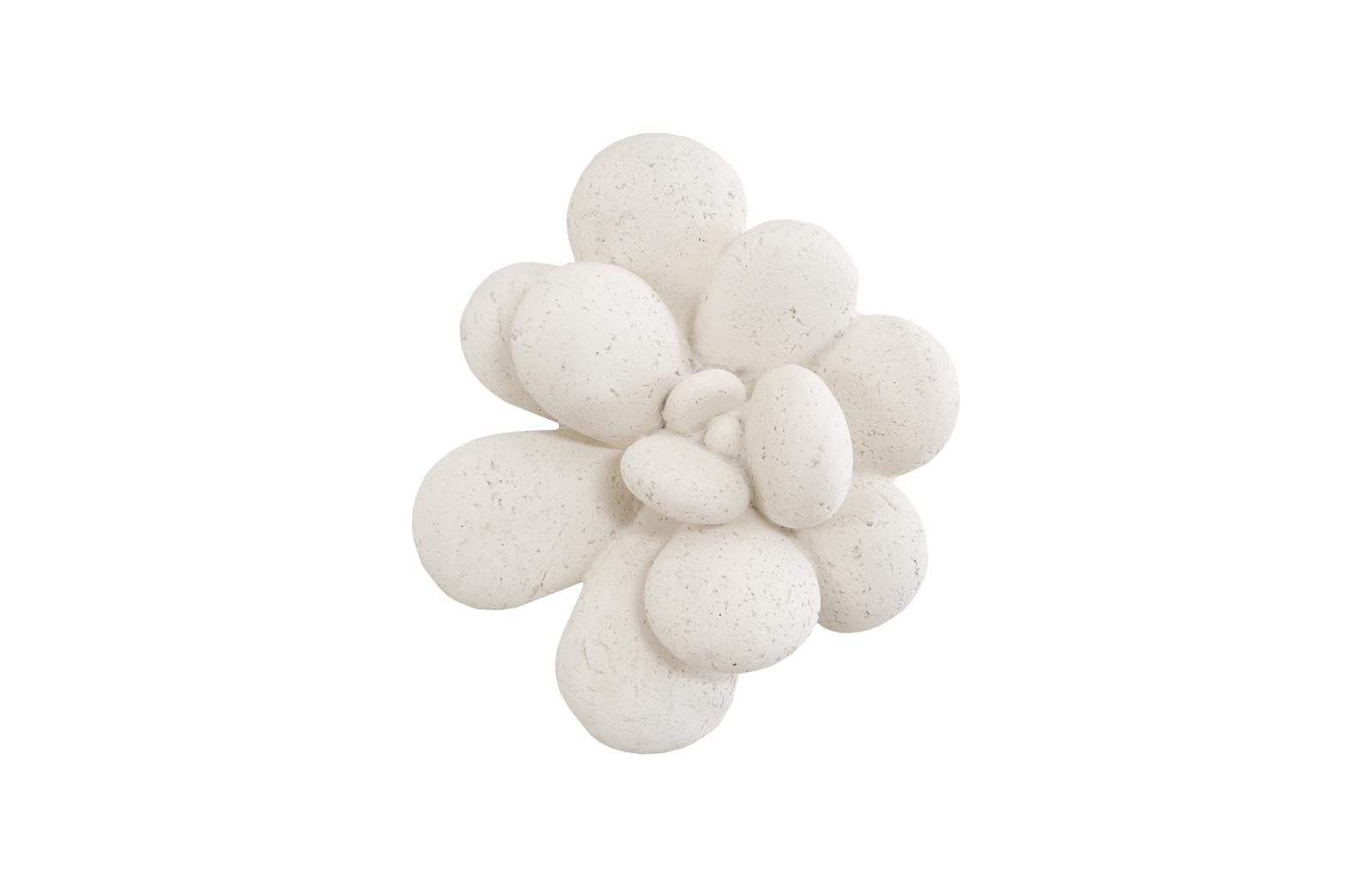 Oviferum Succulent Wall Art, White Stone