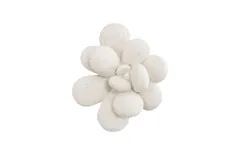 Oviferum Succulent Wall Art, White Stone