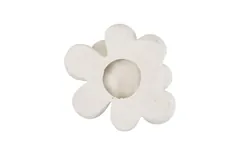 Oviferum Succulent Wall Art, White Stone