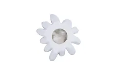Compactum Succulent Wall Art, White Stone