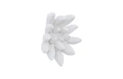 Compactum Succulent Wall Art, White Stone