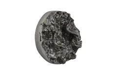 Cast Root Erupting Wall Sculpture
