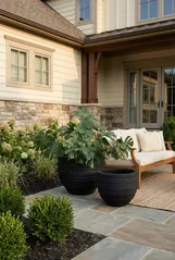 June Planter, Black, XS