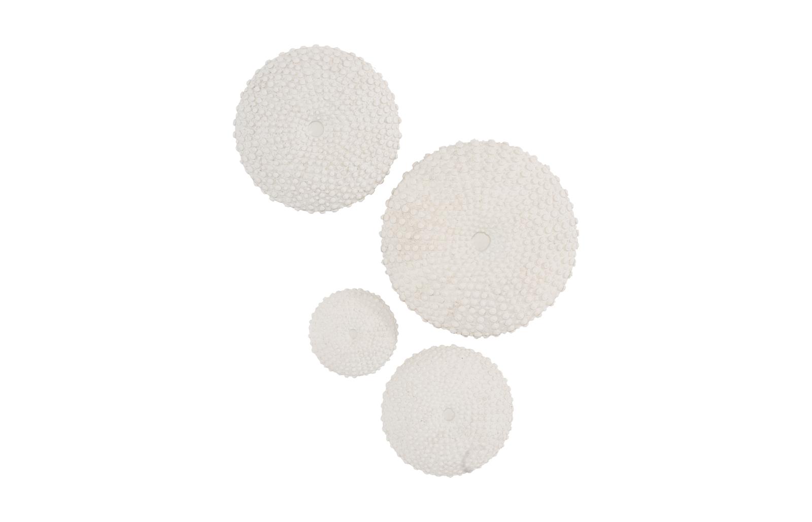 Sea Urchin Wall Art, Set Of 4