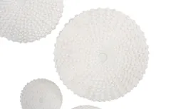 Sea Urchin Wall Art, Set Of 4