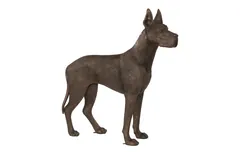 Great Dane, Standing, Bronze