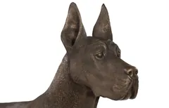 Great Dane, Standing, Bronze